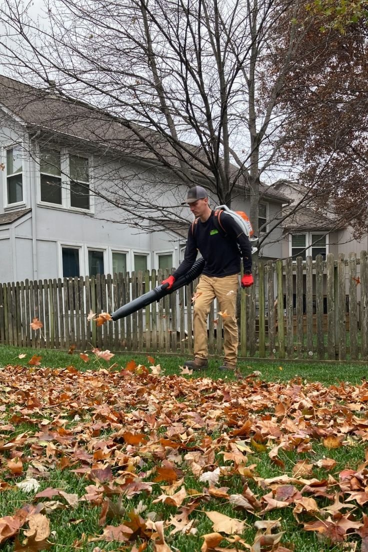 Yard Cleanup