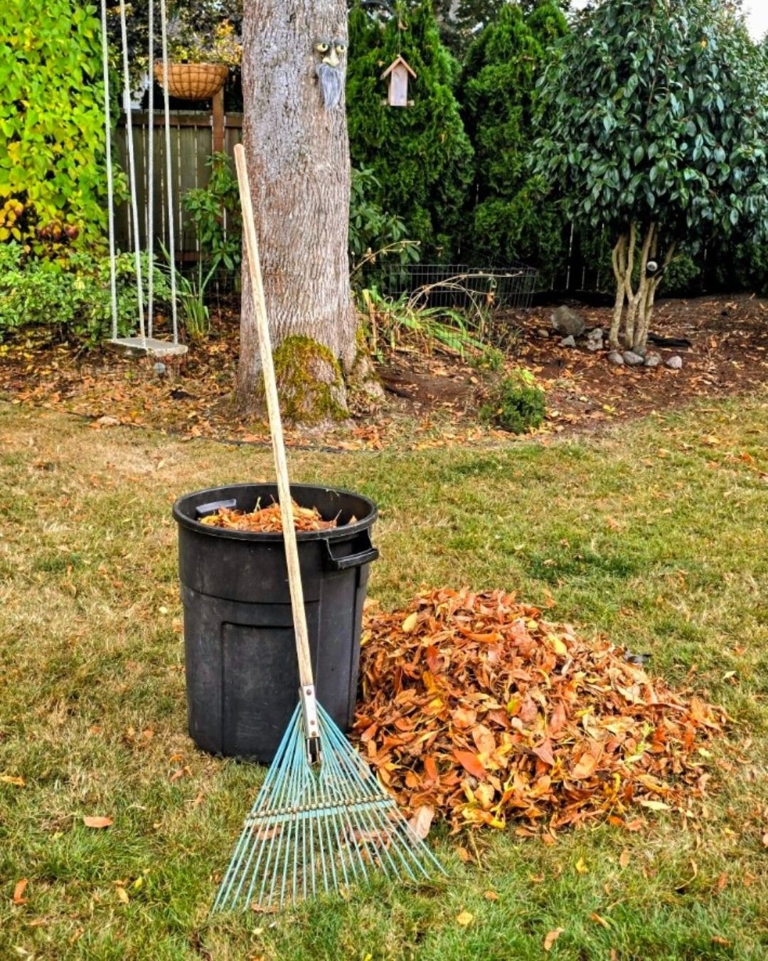 Seasonal Maintenance